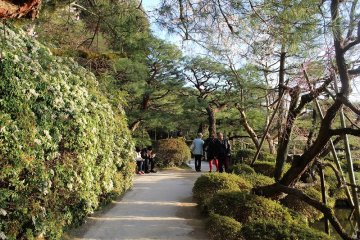 Many plants are artfully arranged along the pathways and are pleasant to take in as you stroll the grounds