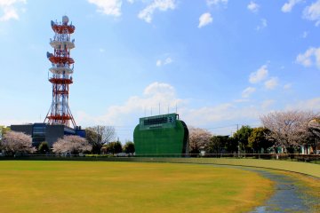 <p>Around the soccer field, several Cherry Blossom trees stand, creating a relaxing panoramic view. &nbsp;</p>