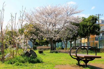 <p>This place is also ideal for joggers and other health-conscious individuals.</p>