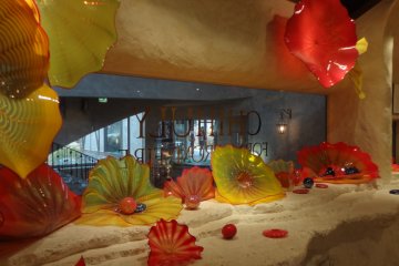 <p>Dale Chihuly's stunningly beautiful art.</p>
