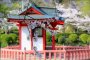 Mobara Cherry Blossom Festival