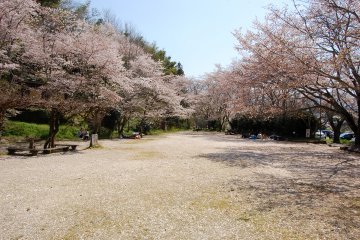 An open area above the riverbank.