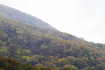 The forested base of Mt. Karakuni in early autumn