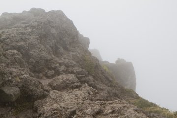 The summit's harsh environment and rocky surface is survivable by only a few hearty grasses and some scrubby bushes