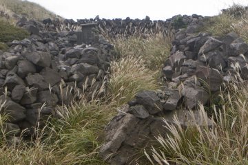 The walk up Mt. Io in autumn is covered with susuki, shooting up like mini permanent fireworks