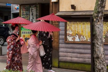 <p>Une maiko se promenant le long de Kiyamachi pendant la saison des cerisiers, dans son kimono color&eacute;</p>