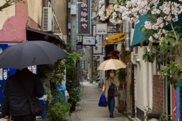 <p>Ceci est peut-&ecirc;tre la plus petite rue de Kyoto. Perpendiculaire &agrave; Kiyamachi Dōri, entre Shijō et Gojō, elle mesure &agrave; peine 50 m&egrave;tres de long et est bord&eacute;e de cerisiers.</p>
