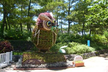 <p>Hi there! You want fish, I`ll show you a fish! A topiary owl welcomes you to Ocean Expo Park, home of Churaumi Aquarium.</p>