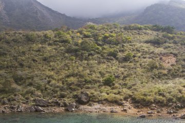 <p>A small pond can be found at the foot of Mt. Karakuni</p>