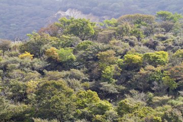 <p>Autumn colors are just beginning to show on this October day</p>
