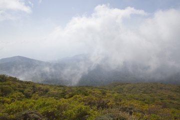 En montagne être débout dans les nuages est toujours une sensation étrange, par temps clair, on peut apercevoir Sakurajima, le volcan le plus connu de la région de Kagoshima