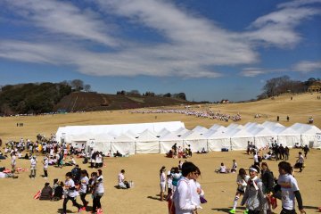 The Color Run's inaugural 5K was right here on March 15, 2014!
