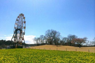 A view of the Country Farm Tokyo during The Color Run 5K