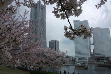<p>Landmark Tower and Queens Tower as seen from Navios hotel</p>