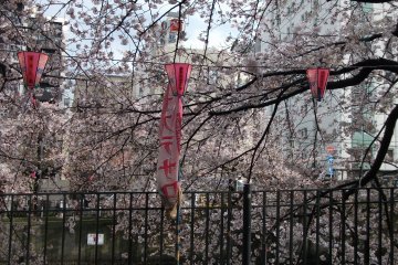<p>Festival time on the Ookagawa</p>