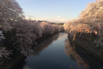 <p>A view from Oota-bashi, one of several bridges along the Ookagawa</p>