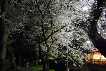 Night-time light-up ends at 21:30. But it still looks beautiful