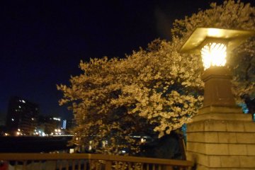 At Tsukumo bridge