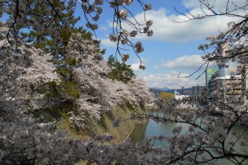 <p>Great view from the castle bridge</p>