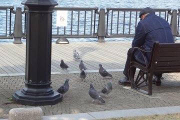 Verny Park is a nice, cozy, interesting place. Please put it in your plans as a place to visit if you are thinking about a trip to Miura Peninsula.