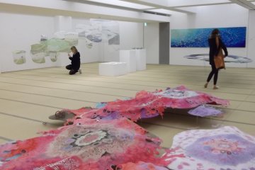 <p>Inside the Some Seiryu&nbsp;Museum</p>