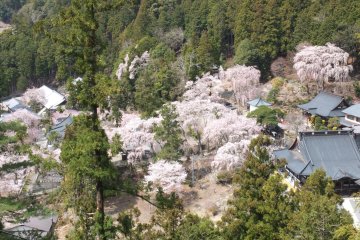 <p>The small town below the temple</p>