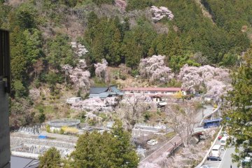 <p>The small town below the temple</p>