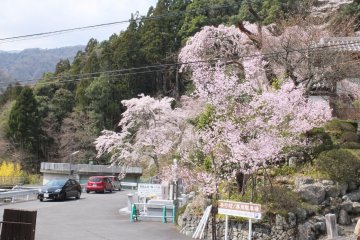 <p>The small town below the temple</p>