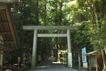 Tsubaki Taisho, Sebuah Kuil Penuh Rasa Misterius
