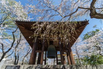 Bahkan Daibonsho (Big Bell) dikelilingi oleh bunga! Lonceng ini selesai pada 1673, sehingga tidak hanya sebuah karya seni tetapi artefak sejarah.