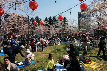 Ini hanami di Taman Nishi