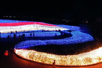 Beautiful blossoms by day, dazzling flower beds by night 