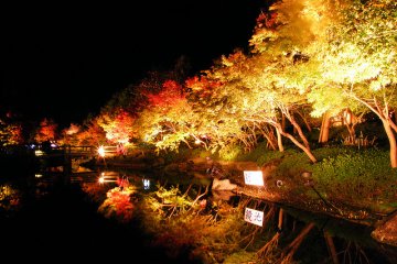The Naba No Sato gardens ablaze with lights..