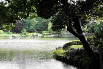 Rikugien's rather large pond