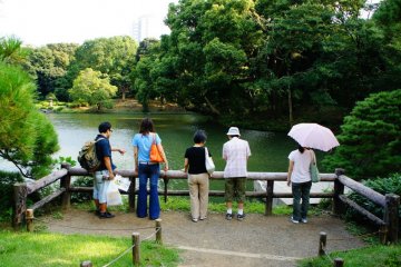 The carp enjoy people-watching (and vice-versa)