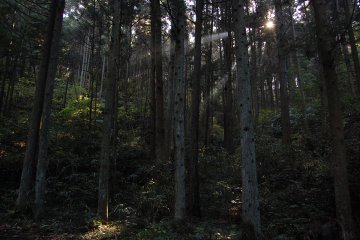 Mount Kannan
