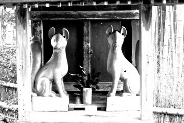 <p>A pair of foxes in the shrine at the top</p>