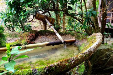 <p>Old water basin</p>