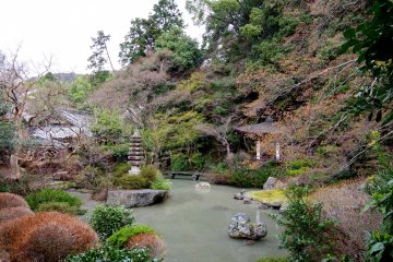 <p>Pond garden at the back of the temple</p>
