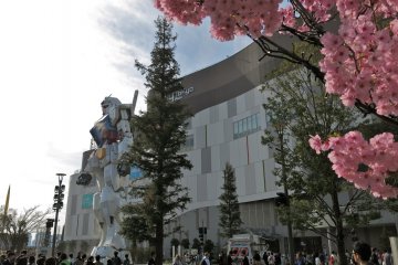 <p>During the spring time, visit the Gundam statue and view cherry blossoms in full glory!</p>