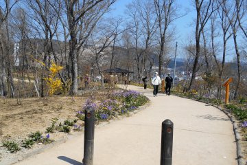 <p>It's an easy walk to the hilltop where Funaoka Castle Park is located</p>