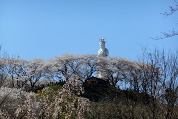 <p>Statue of goddess of mercy on the hilltop surrounded by cherry trees. There are more than 1,000 cherry trees on the hill</p>