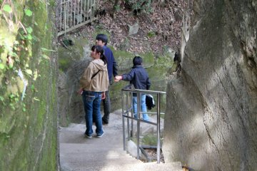 <p>It is said there are 2,000 steps that run across Mt Nokogiriyama. I never counted, but it certainly felt like thousands!</p>