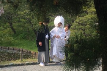 Surprises at Sankeien Garden