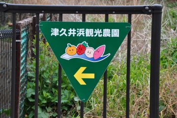 Yokosuka's Tsukuihama Kankou Nouen