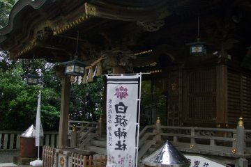 <p>The main pavilion</p>