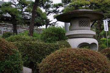 <p>The small front garden &nbsp;</p>