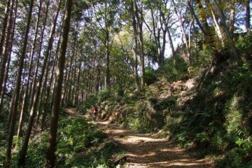 Stunning scenery along the Hiwada-Takasashi-Monomi Mountains hiking trail