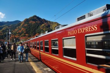 Journey through spectacular natural scenery on the Chichibu&nbsp;Paleo Express