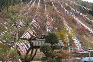 Breathtaking natural scenery by the Jinryu river in&nbsp;Chichibu